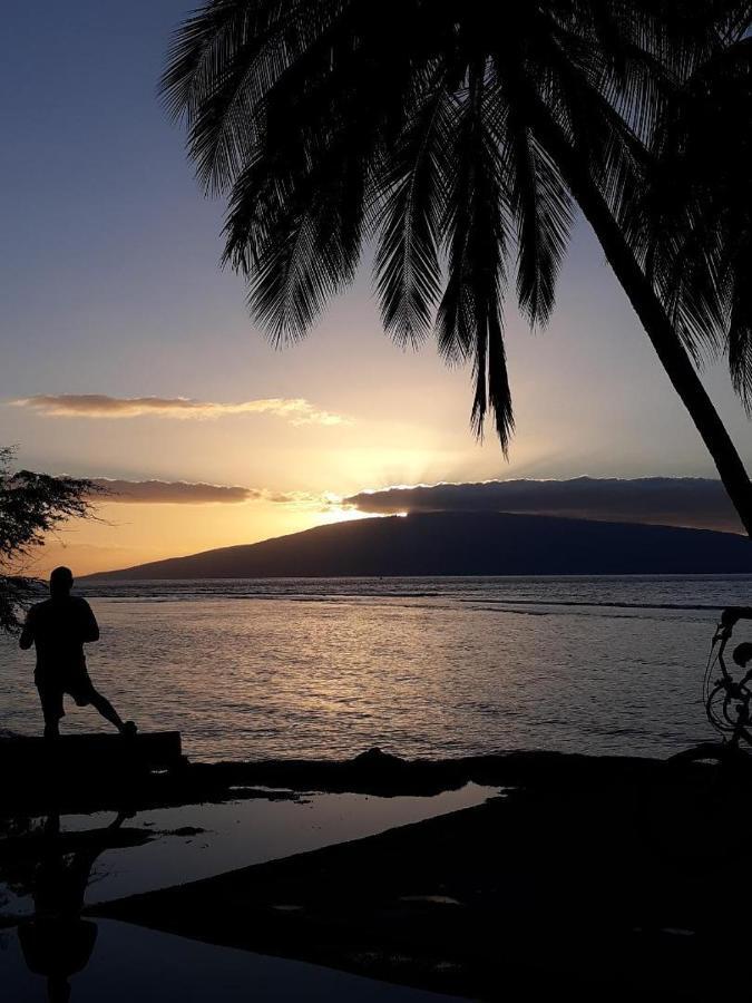 Deluxe Oceanview Maui Studio..New & Updated Kahana Kültér fotó